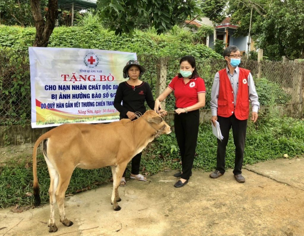 HỘI CHỮ THẬP ĐỎ VIỆT NAM