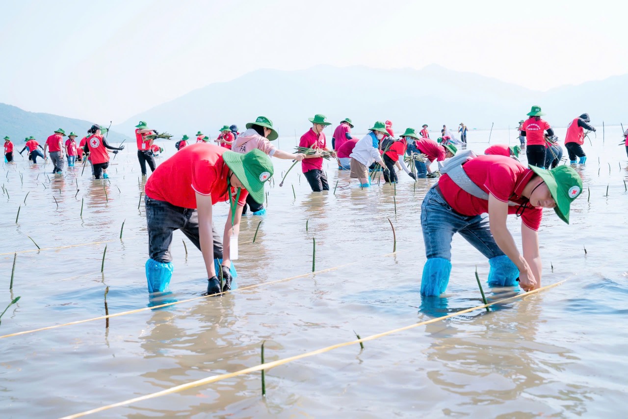 HỘI CHỮ THẬP ĐỎ VIỆT NAM