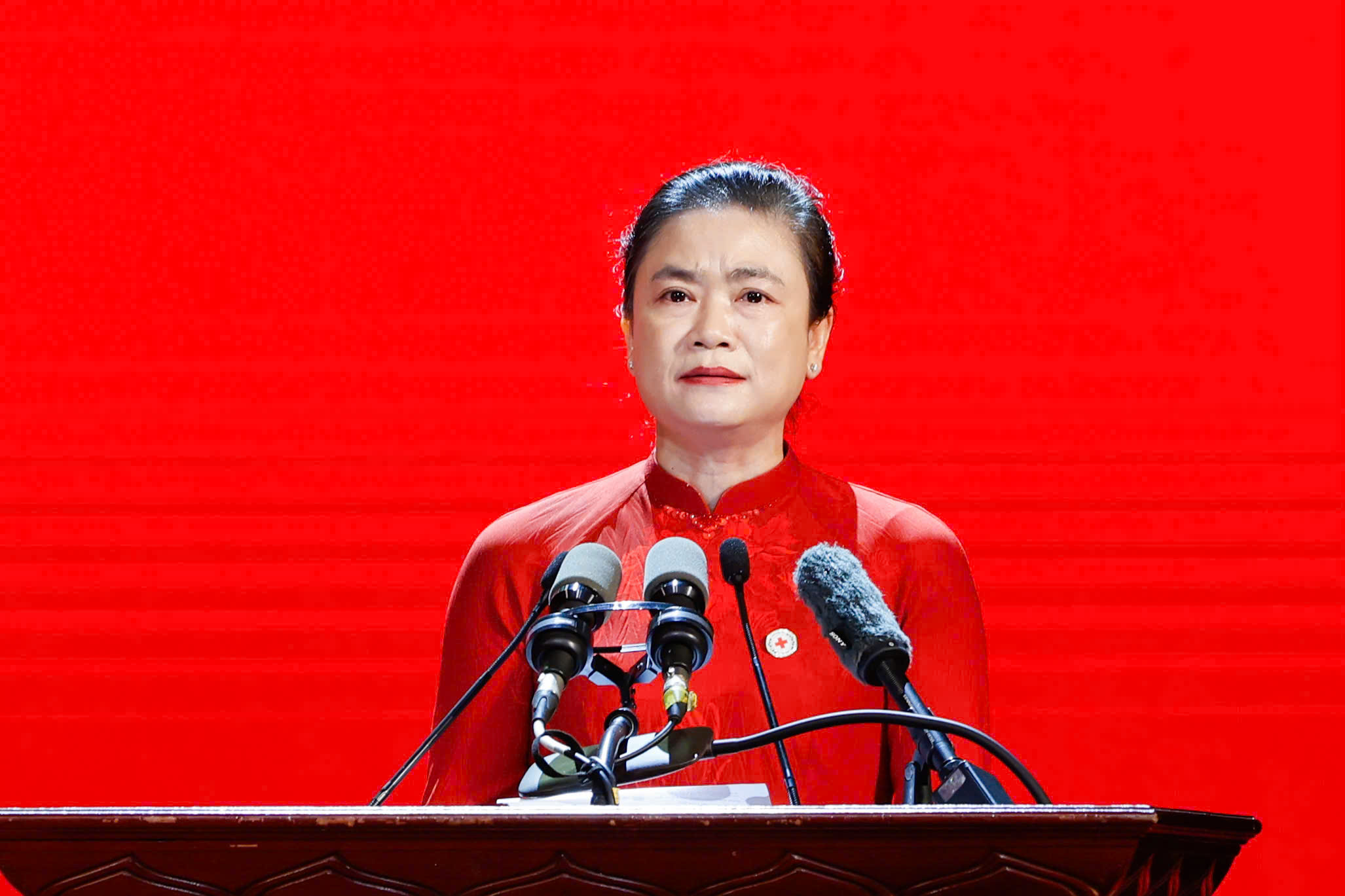 HỘI CHỮ THẬP ĐỎ VIỆT NAM