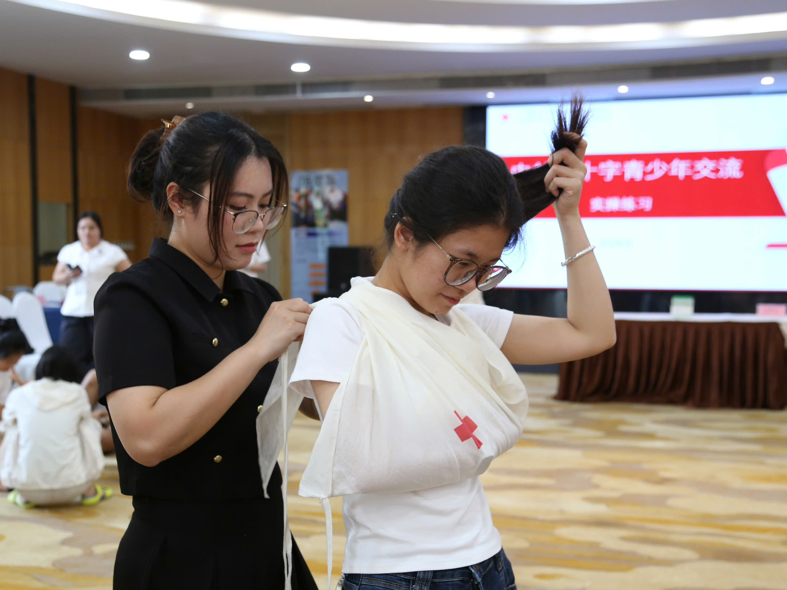 HỘI CHỮ THẬP ĐỎ VIỆT NAM